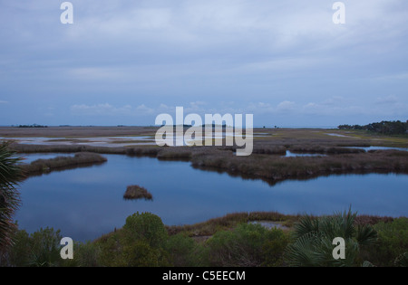 Marsh a sera, St Marks National Wildlife Refuge, Florida, Stati Uniti d'America Foto Stock