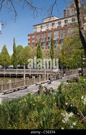 Esplanade, Sud Cove e il fiume Hudson, Battery Park City, NYC Foto Stock