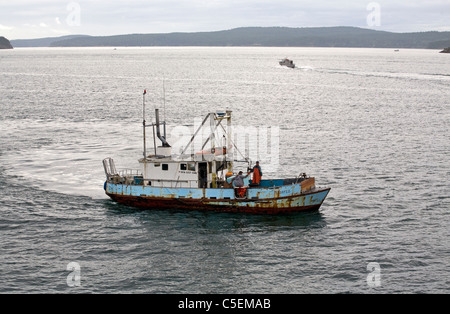 Il granchio commerciale pescatore raccolta di vasi del granchio in Puget Sound vicino al San Juan Islands, Washington. Foto Stock