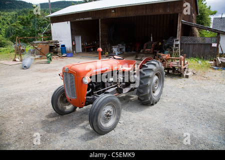 Un Massey Ferguson trattore antico in una fattoria Isola di Vancouver, Canada Foto Stock