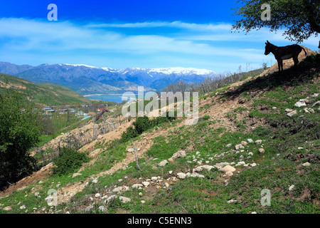 Chorvak serbatoio e le montagne di Tian-Shan (provincia di Tashkent, Uzbekistan Foto Stock
