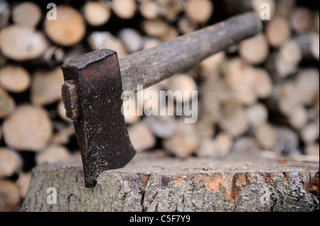 Un vecchio ax di riposo in un ceppo UK Foto Stock