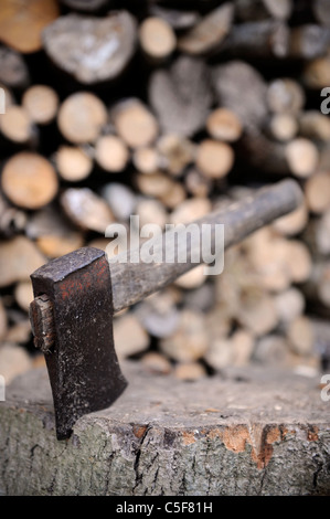 Un vecchio ax di riposo in un ceppo UK Foto Stock