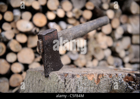 Un vecchio ax di riposo in un ceppo UK Foto Stock