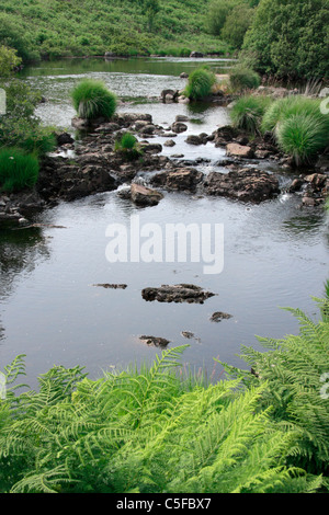 Fiume Dee vicino Stroan Loch in Galloway Forest Park, Dumfries and Galloway, Scozia. Foto Stock