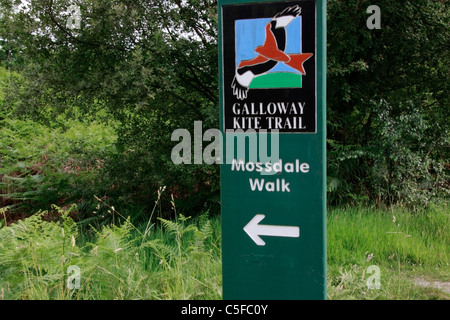 Galloway Kite segnavia a Mossdale in Dumfries and Galloway,'Scotland. Foto Stock