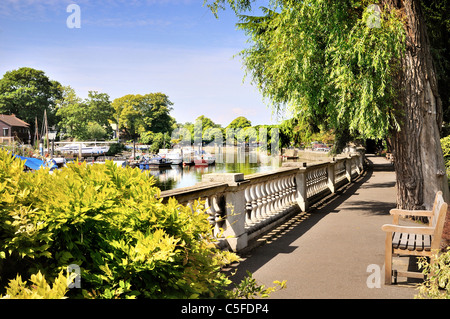 Riverside a Twickenham ,West London Foto Stock
