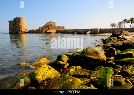 Castello dei Crociati . Sidone ( Saida ) . Medio Oriente. Il Libano. Foto Stock