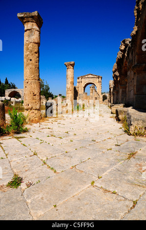 Colonnato street e il romano Arco Trionfale, al sito Bass , pneumatico (Sour), il Sito Patrimonio Mondiale dell'UNESCO. Il Libano. Foto Stock