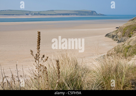 Ampia distesa di spiaggia di sabbia sotto le dune sul lato est del cammello estuario vicino al Rock, North Cornwall Foto Stock