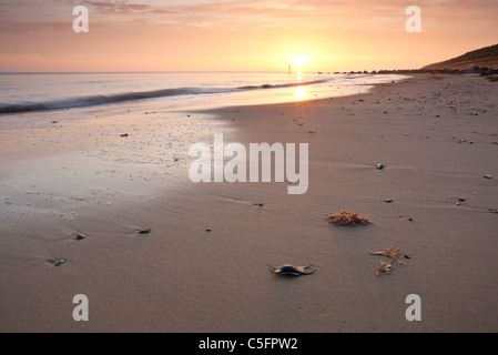 Waxham spiaggia al tramonto sulla costa di Norfolk Foto Stock