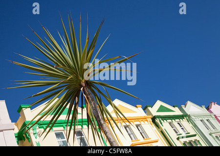 Esplanade Road con le case e gli hotel dipinti in modo luminoso, Paignton, Devon, Inghilterra, Regno Unito Foto Stock