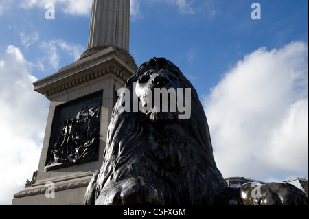 Nelson la colonna in Trafalgar Square, custodito da uno dei leoni di bronzo scolpite da Sir Edwin Landseer Foto Stock