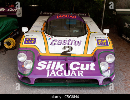 Jaguar Le Manns auto a Goodwood Festival della velocità 2011 Foto Stock