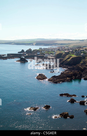 St Abbs Head e la vista delle scogliere Foto Stock