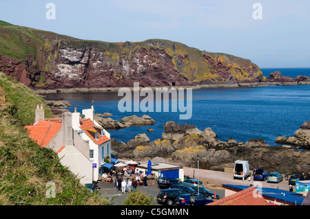 St Abbs Head villaggio ed un porto Foto Stock