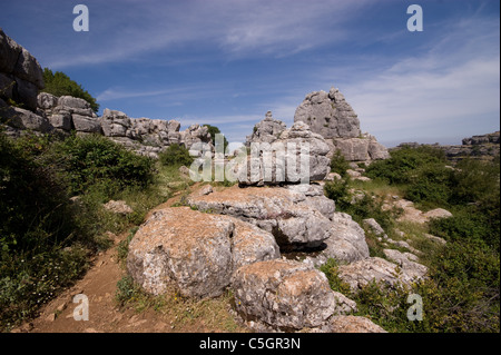 Il neolitico calcare formazioni rocciose di El Torcal montagna vicino a Antequera Andalusia Spagna Foto Stock