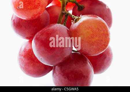 Close up di un grappolo di uva rossa Foto Stock