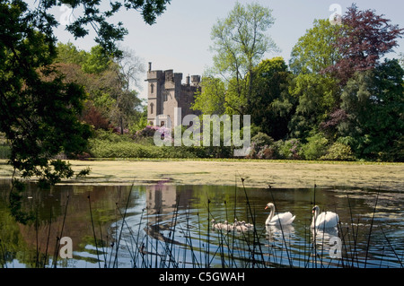 Il castello di Duns con laghetto ornamentale e cigni Foto Stock