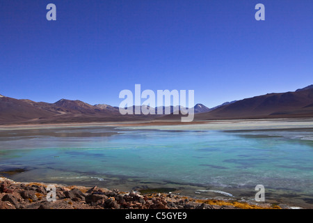 Salt Lake vicino alla Laguna Colorada e verde, Uyuni, Salar, Atacama, Altiplano, Sud Lipez, confine Cile, Bolivia, Sud America Foto Stock