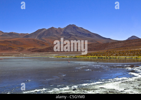 Salt Lake vicino alla Laguna Colorada e verde, Uyuni, Salar, Atacama, Altiplano, Sud Lipez, confine Cile, Bolivia, Sud America Foto Stock