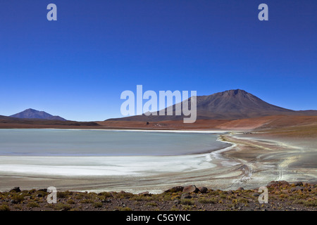 Salt Lake vicino alla Laguna Colorada e verde, Uyuni, Salar, Atacama, Altiplano, Sud Lipez, confine Cile, Bolivia, Sud America Foto Stock