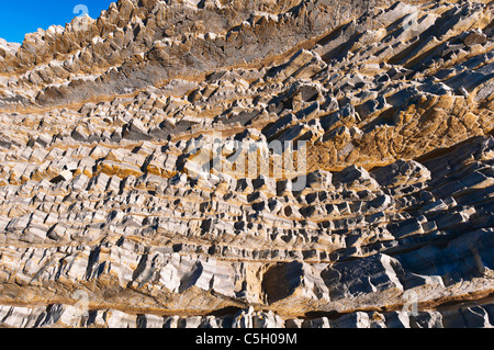 Roccia sedimentaria, Montana de Oro State Park, California USA Foto Stock