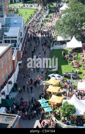 Horse Racing al giorno della gara York Race Course Foto Stock