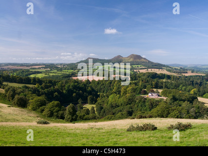 Scotts e vista la Eildon Hills dal fiume Tweed - Scottish Borders Foto Stock