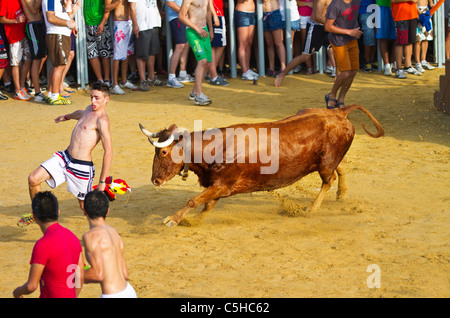 Giovane spagnolo di festeggianti al "Bous a la mar" o tori al mare festival in Denia ,Spagna 2011 Foto Stock