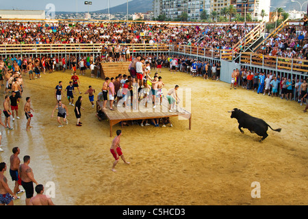 Giovane spagnolo di festeggianti al "Bous a la mar" o tori al mare festival in Denia ,Spagna 2011 Foto Stock