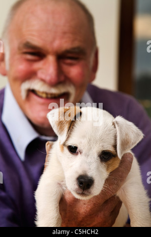 Uomo anziano azienda terrier cucciolo,cornwall, Regno Unito Foto Stock