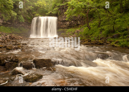 Sgwd-yr-eira cascata, Afon Hepste, Parco Nazionale di Brecon Beacons, Powys, Wales, Regno Unito Foto Stock