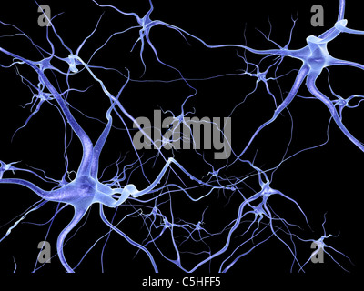 Rete neurale, computer artwork Foto Stock