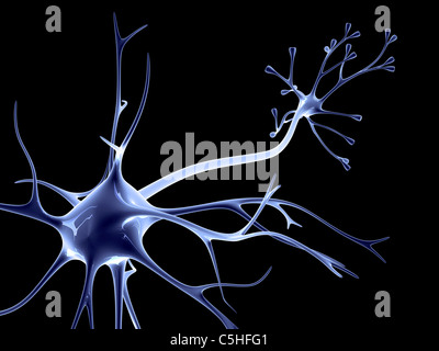 Delle cellule nervose Foto Stock