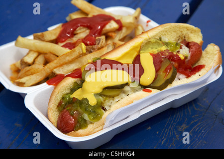 Takeaway di hot dog e patatine fritte coperte di salse e condimenti sottaceti in un contenitore in polistirene Foto Stock