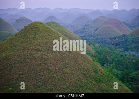 Mare di Chocolate Hills, Bohol Island Foto Stock