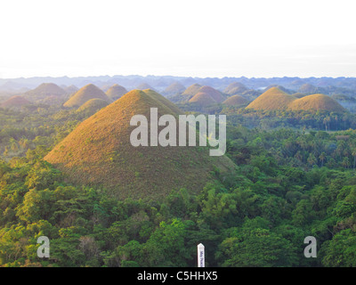 Colline di cioccolato al mattino, naturale tumuli sull isola di Bohol Foto Stock