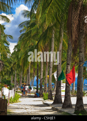 Spiaggia di rivestimento anteriore con alberi di noce di cocco di Malapascua Island Foto Stock