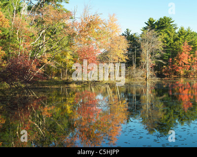 Autunno a colori riflettono in acqua Foto Stock