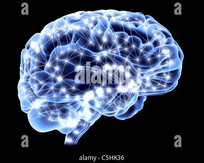 Cervello, rete neurale Foto Stock