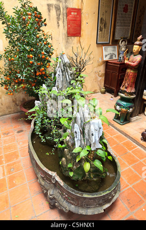 Albero di Bonsai sul display al rinnovato edificio storico di Hanoi, Vietnam Foto Stock