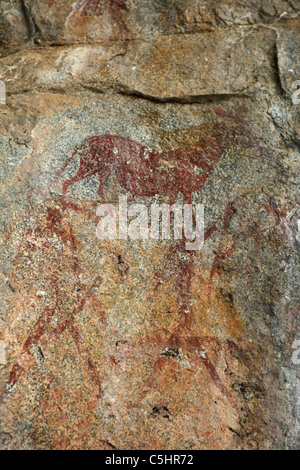 Antichi dipinti rupestri entro il rinoceronte bianco caverne alla Rhodes-Matopos Parco Nazionale vicino a Bulawayo, Zimbabwe. Foto Stock