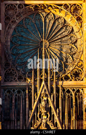 La massiccia e splendidamente dettagliate cattedrale di Strasburgo al tramonto, Alsazia Bas-Rhin Francia Foto Stock