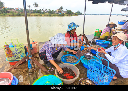 Le donne a vendere i gamberetti e granchi al mercato lungo Thu Bon River in Hoi An in Vietnam centrale Foto Stock