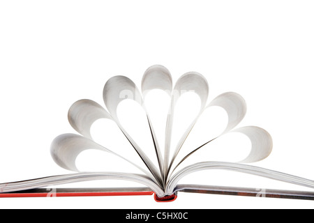 Close-up di pagine di un libro ripiegato a forma di fiore su sfondo bianco Foto Stock