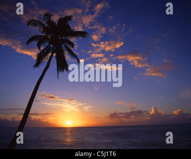 Spiaggia di legno scuro al tramonto, Antigua Antigua e Barbuda, dei Caraibi Foto Stock