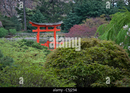 Giardino giapponese al Brooklyn Botanic Garden Foto Stock