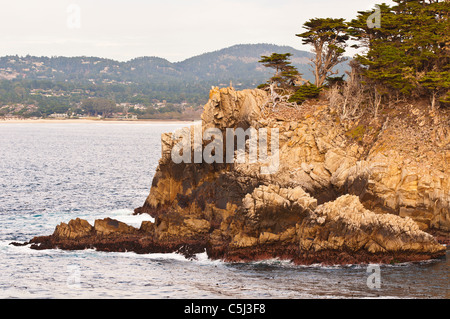 Scogliera rocciosa lungo il Cypress Grove Trail, Point Lobos State Reserve, Carmel California Foto Stock