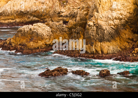 Scogliera rocciosa lungo il Cypress Grove Trail, Point Lobos State Reserve, Carmel California Foto Stock